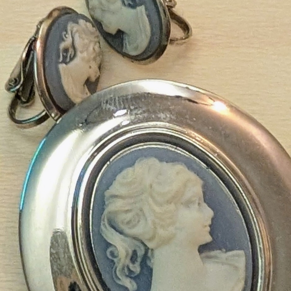 Unique Vintage Blue and Cream Cameo Brooch And Earrings